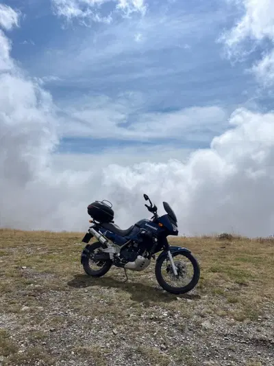 Kawasaki KLE 500 (2005 - 06) usata