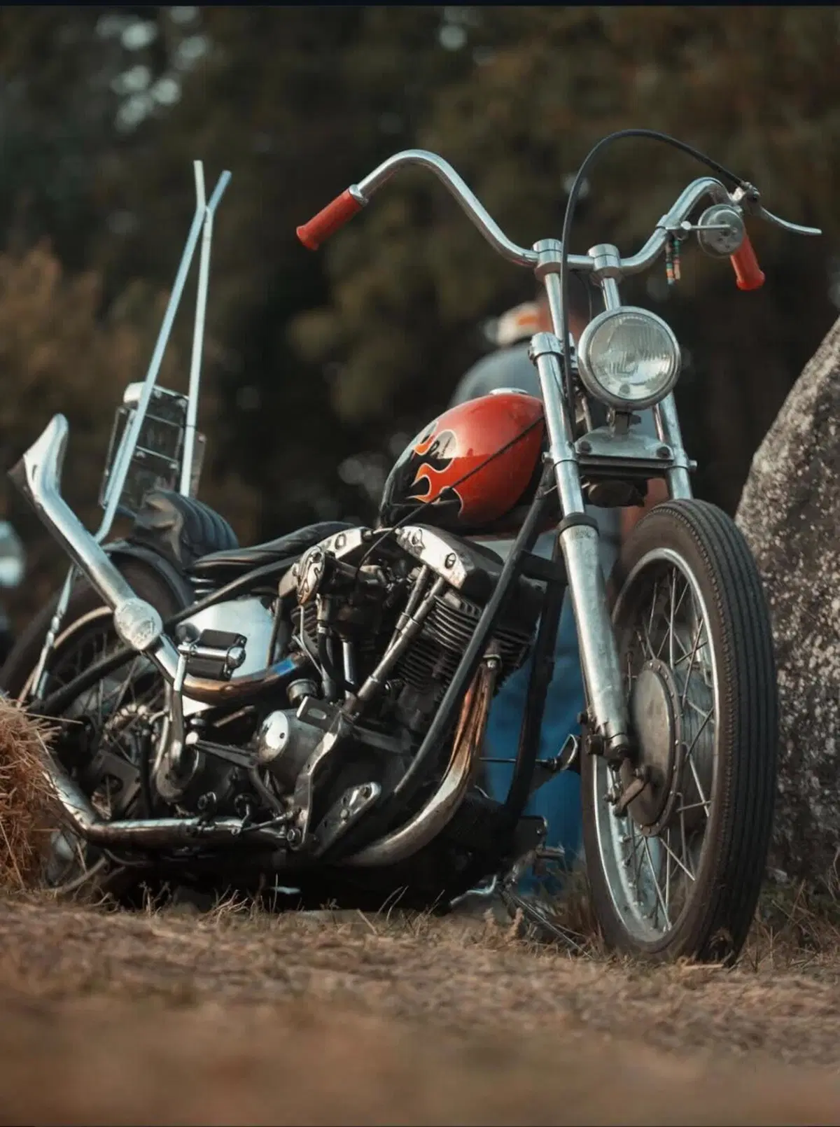 Harley-Davidson chopper Shovelhead 1340 (4)