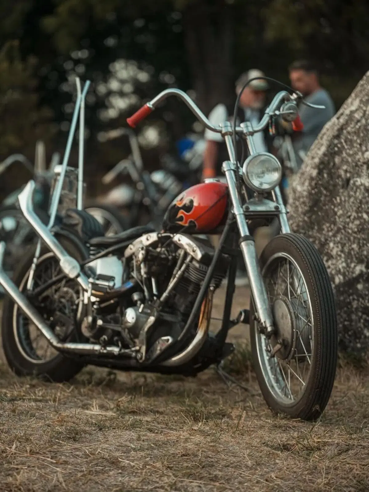 Harley-Davidson chopper Shovelhead 1340 (5)