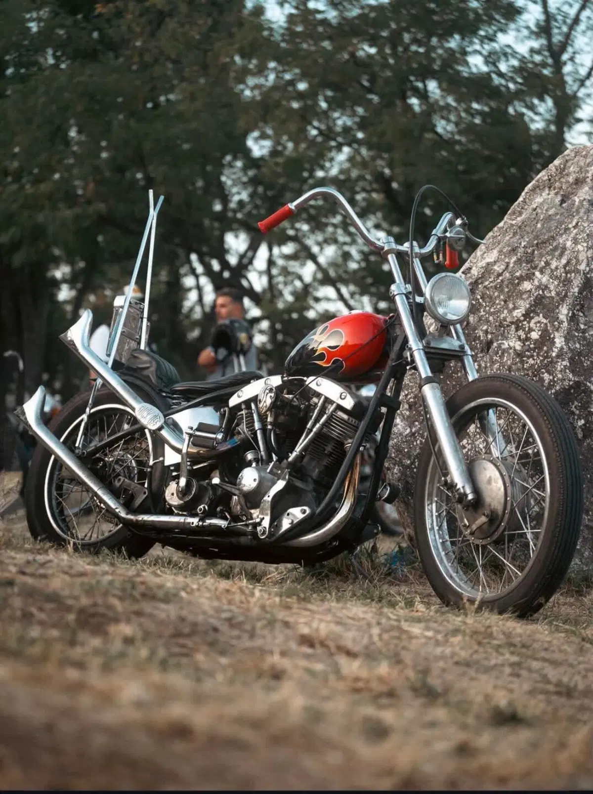 Harley-Davidson chopper Shovelhead 1340 (6)