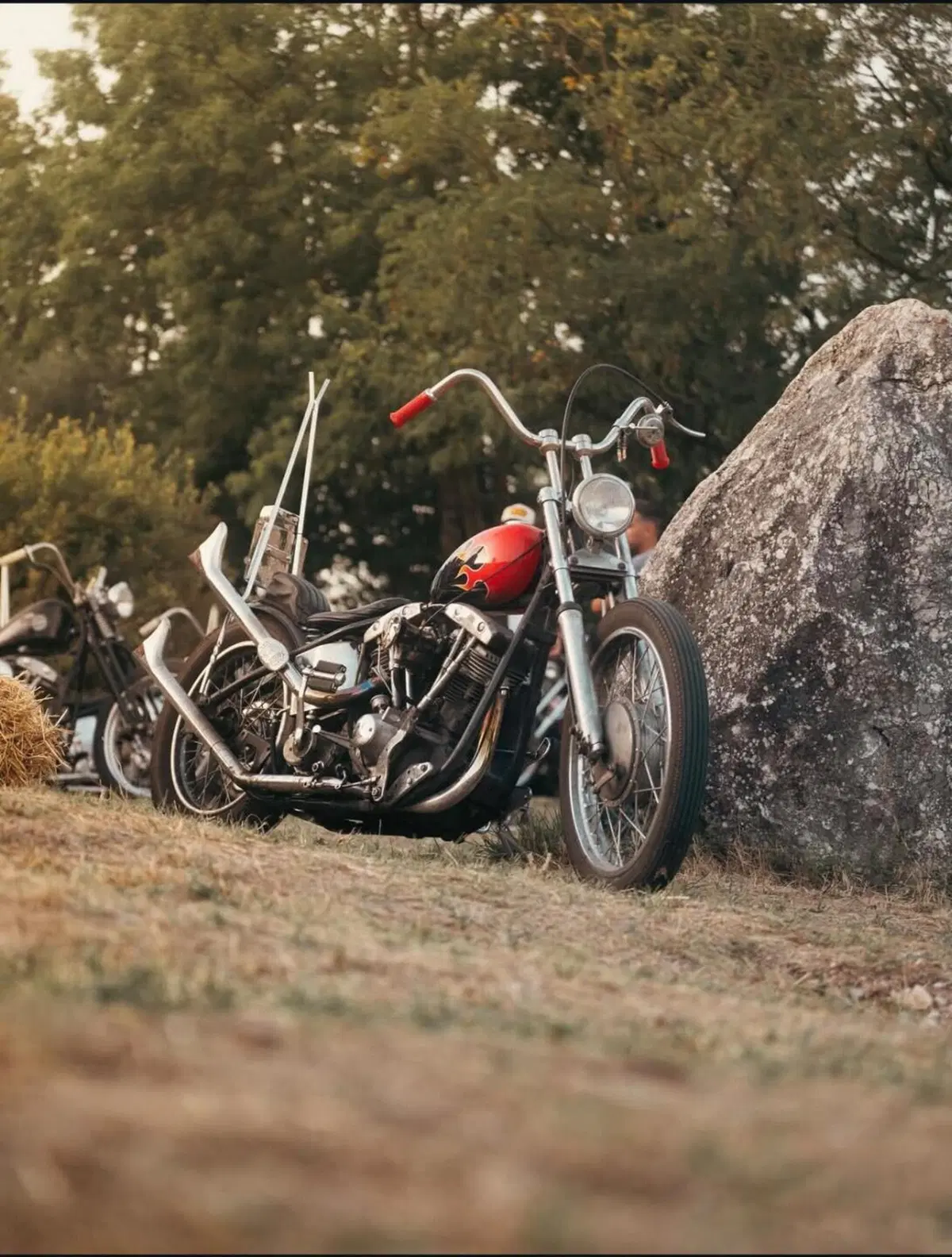 Harley-Davidson chopper Shovelhead 1340 (7)