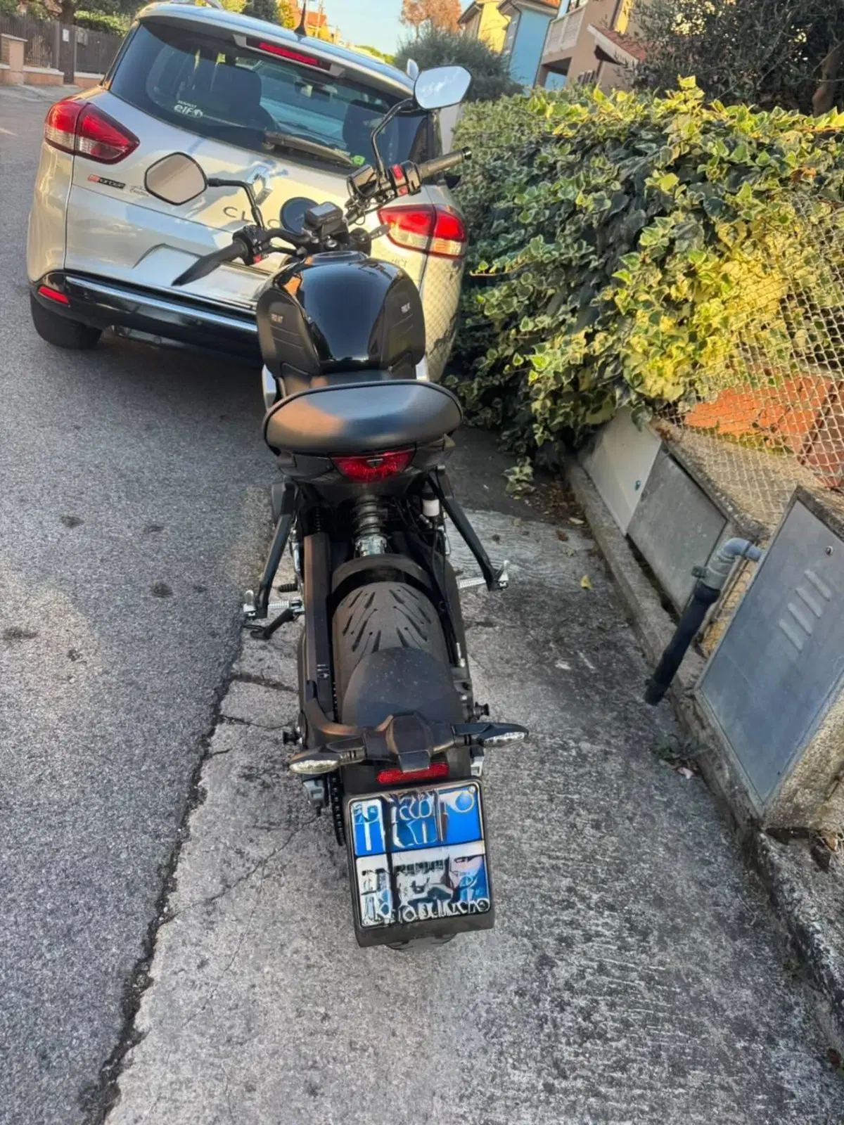 Triumph Trident 660 (2021 - 24) (2)