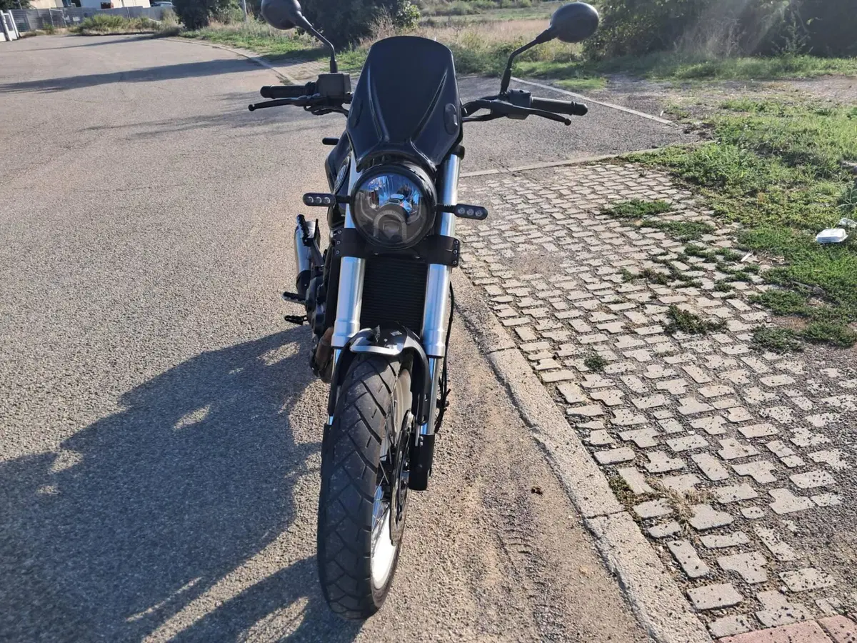 Benelli Leoncino 500 Trail (2021 - 26) (8)