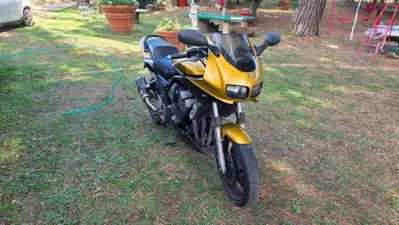 Yamaha FZS 600 Fazer (1998 - 01) usata