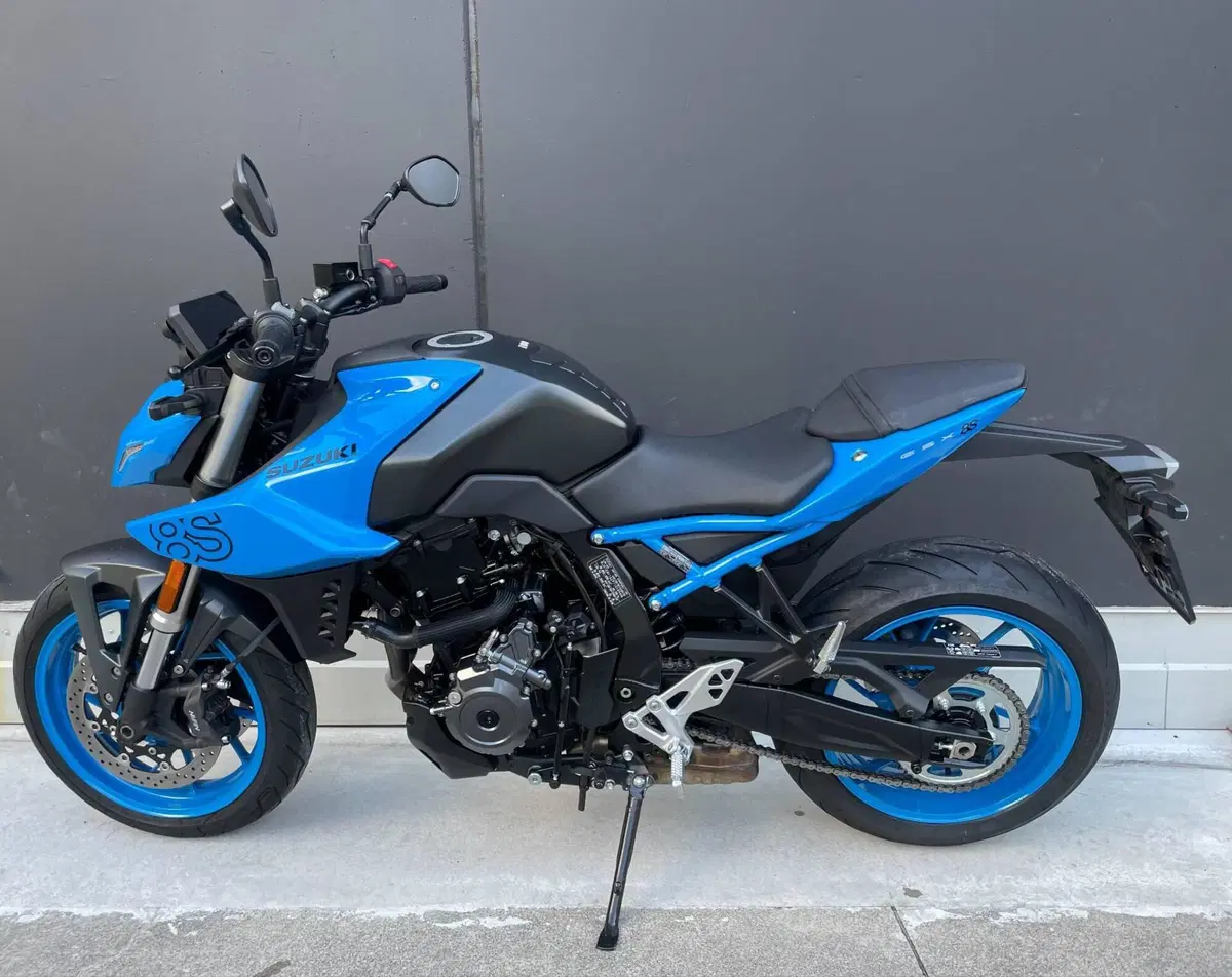 Suzuki GSX-8S (2023 - 24) (2)