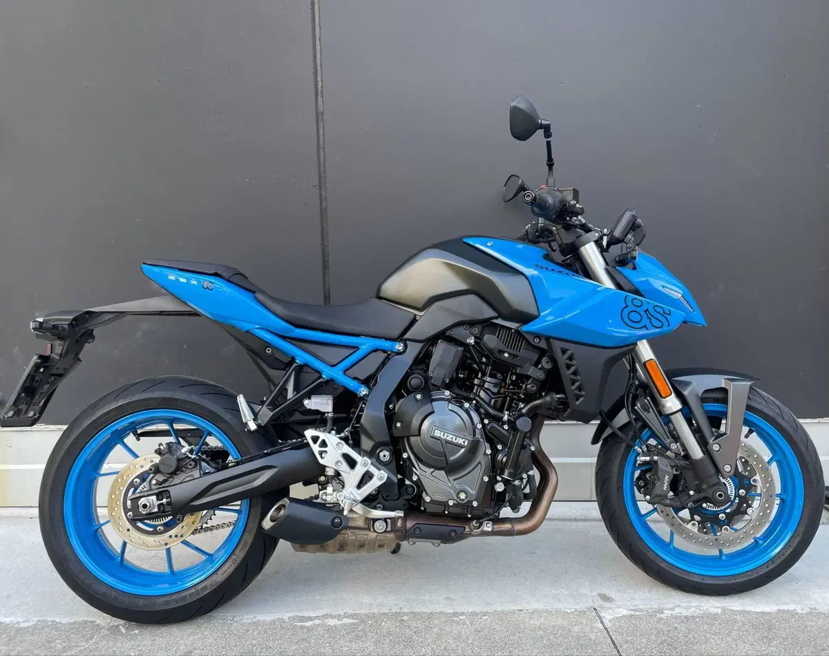 Suzuki GSX-8S (2023 - 24) (3)