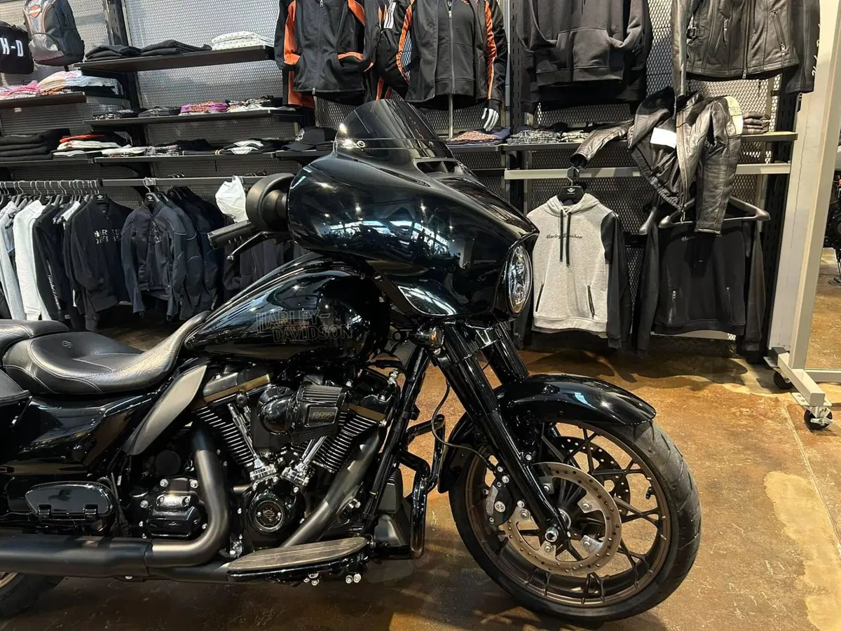 Harley-Davidson Street Glide ST (2022 - 23) (11)
