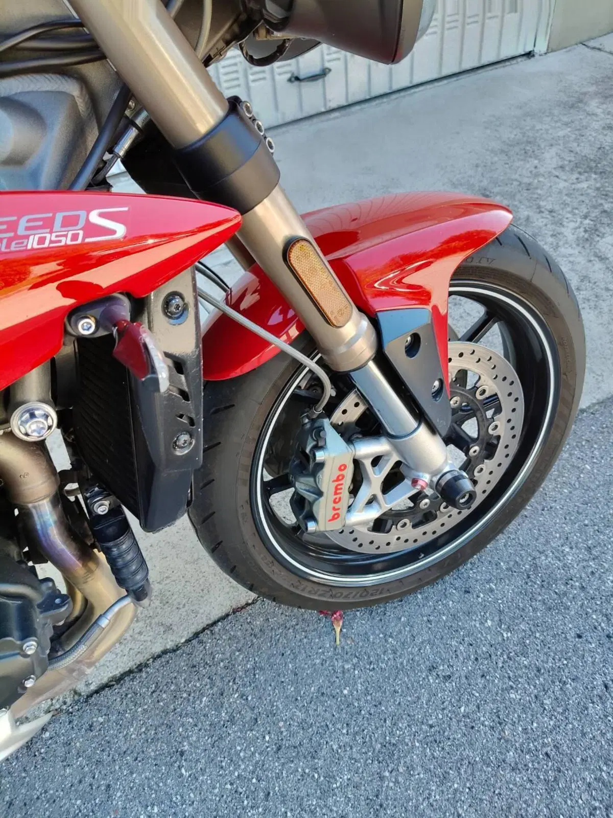 Triumph Speed Triple 1050 S ABS (2016 - 17) (4)