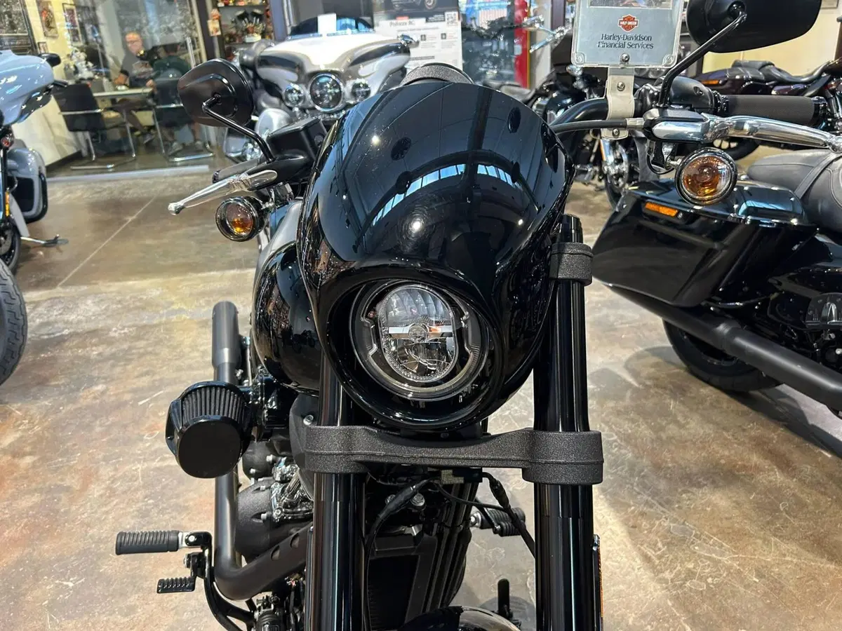 Harley-Davidson Low Rider S (2022 - 24) (2)