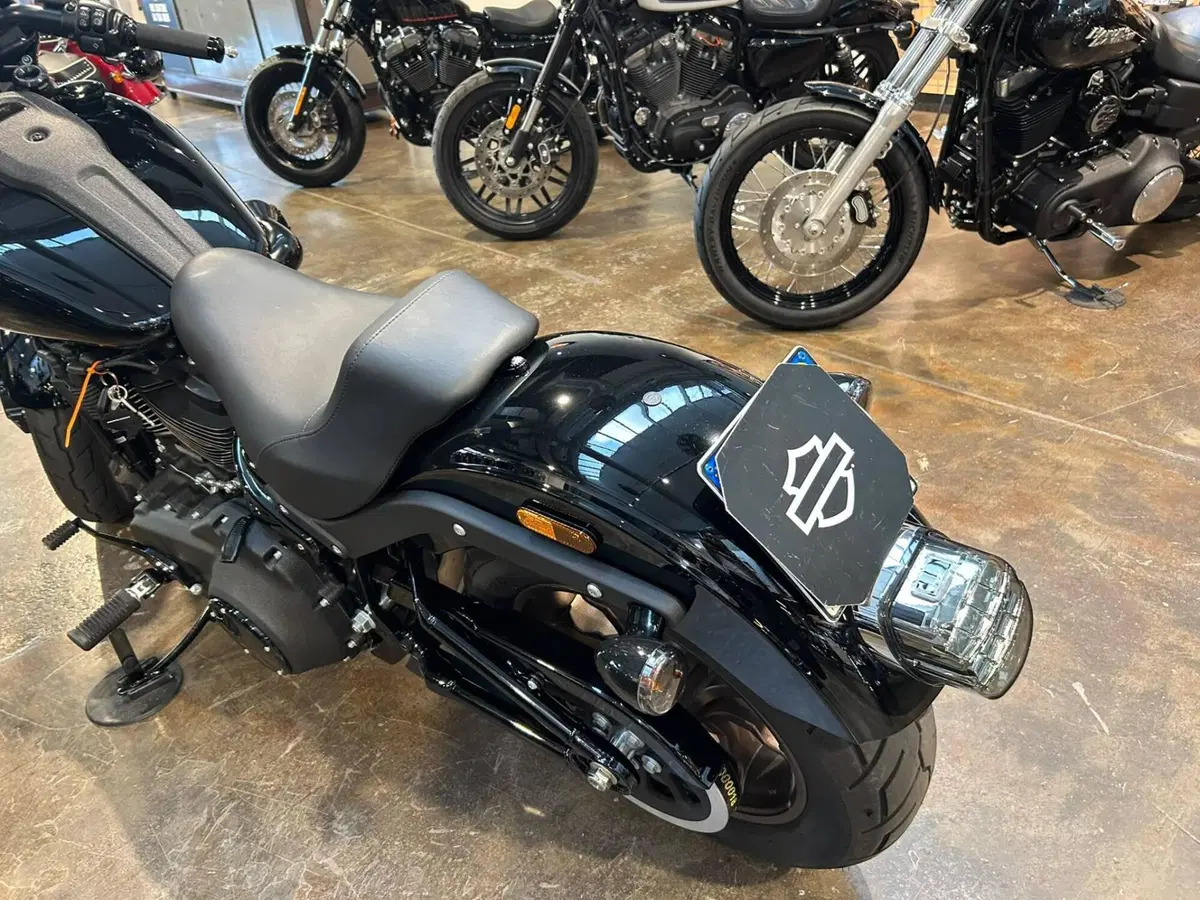 Harley-Davidson Low Rider S (2022 - 24) (3)