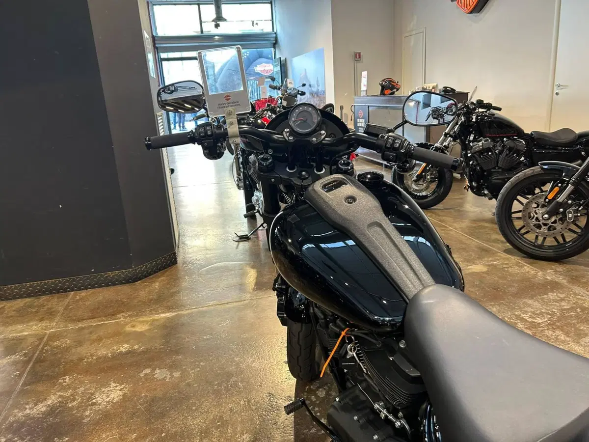 Harley-Davidson Low Rider S (2022 - 24) (4)