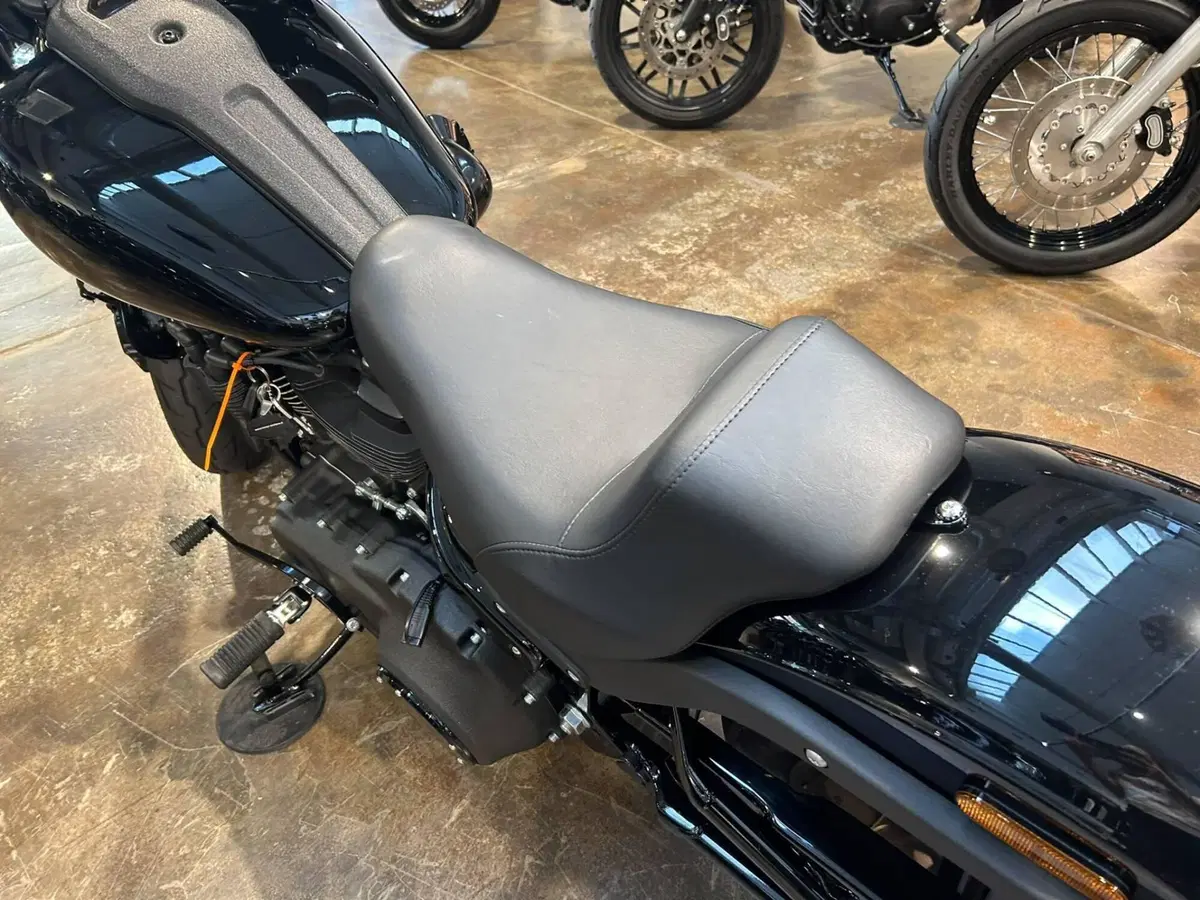 Harley-Davidson Low Rider S (2022 - 24) (5)