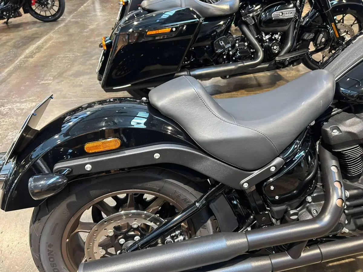Harley-Davidson Low Rider S (2022 - 24) (6)