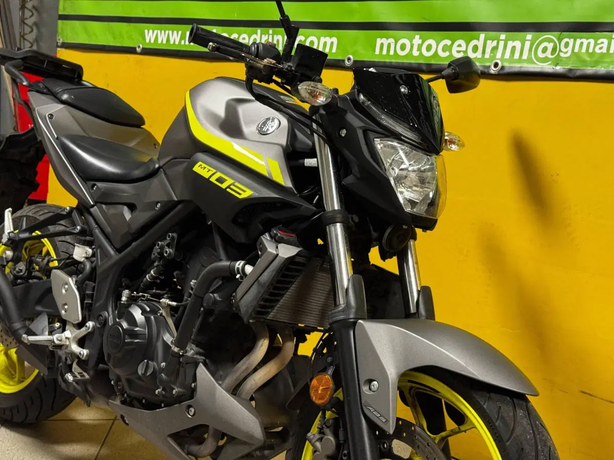 Yamaha MT-03 (2018 - 19) (4)