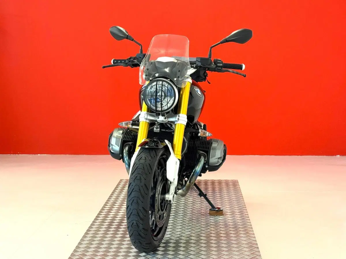 Bmw R nineT 1200 (2014 - 16) (3)