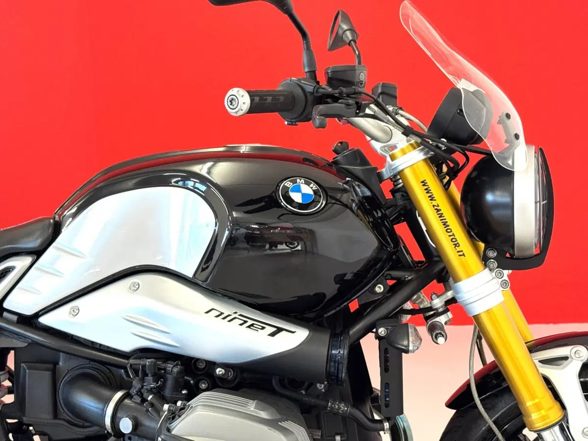 Bmw R nineT 1200 (2014 - 16) (10)