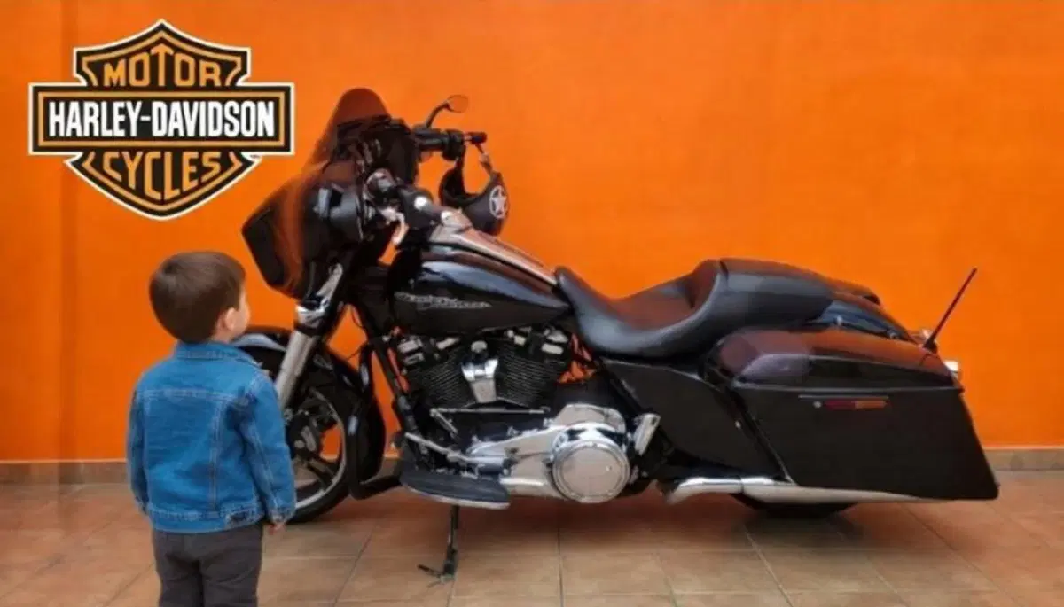 Harley-Davidson 107 Street Glide Special (2017 - 19) - FLHXS (17)