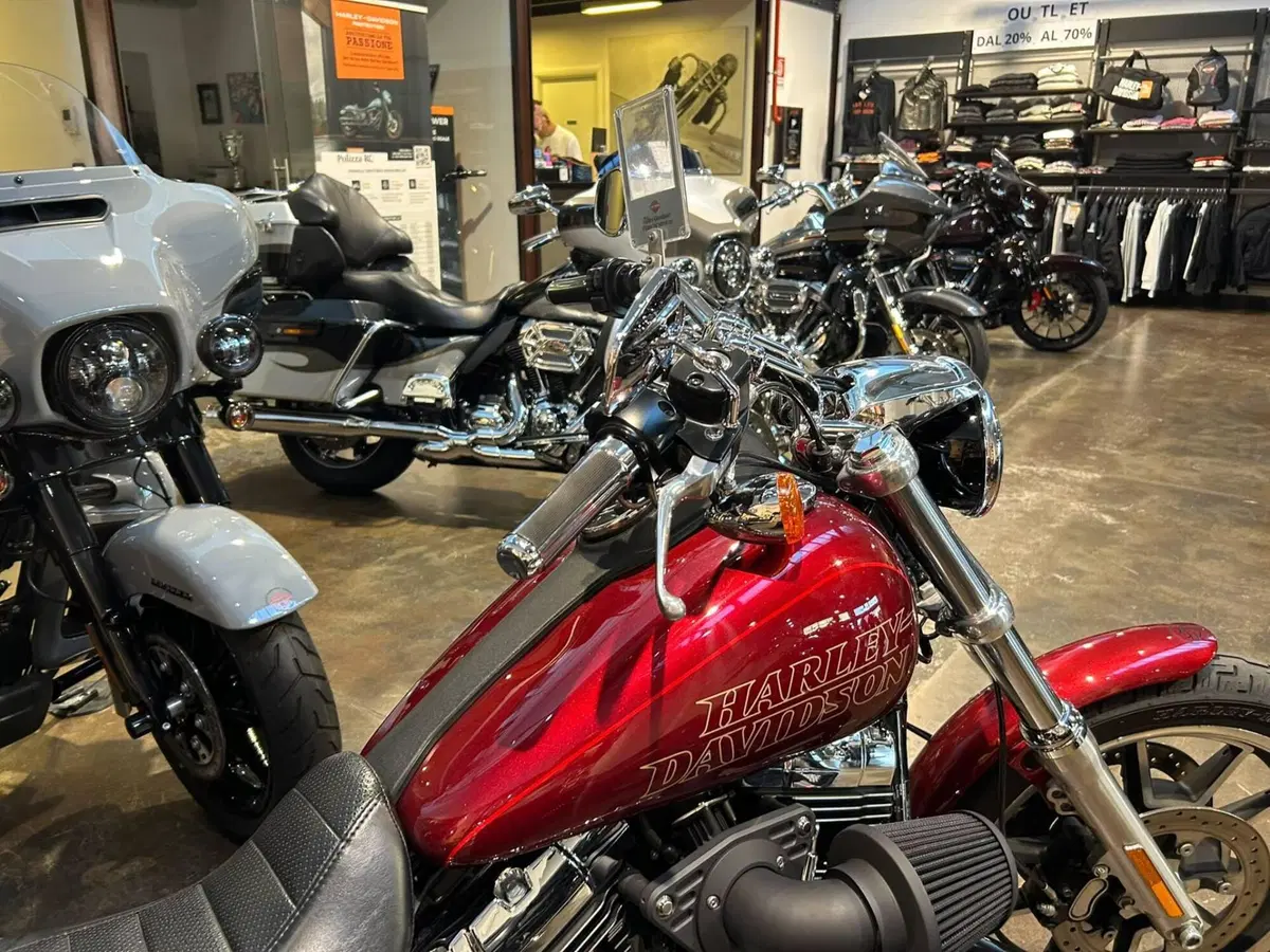 Harley-Davidson 1690 Low Rider (2014 - 17) - FXDL (6)