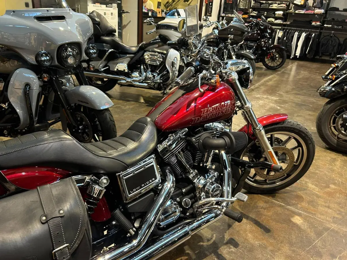 Harley-Davidson 1690 Low Rider (2014 - 17) - FXDL (9)