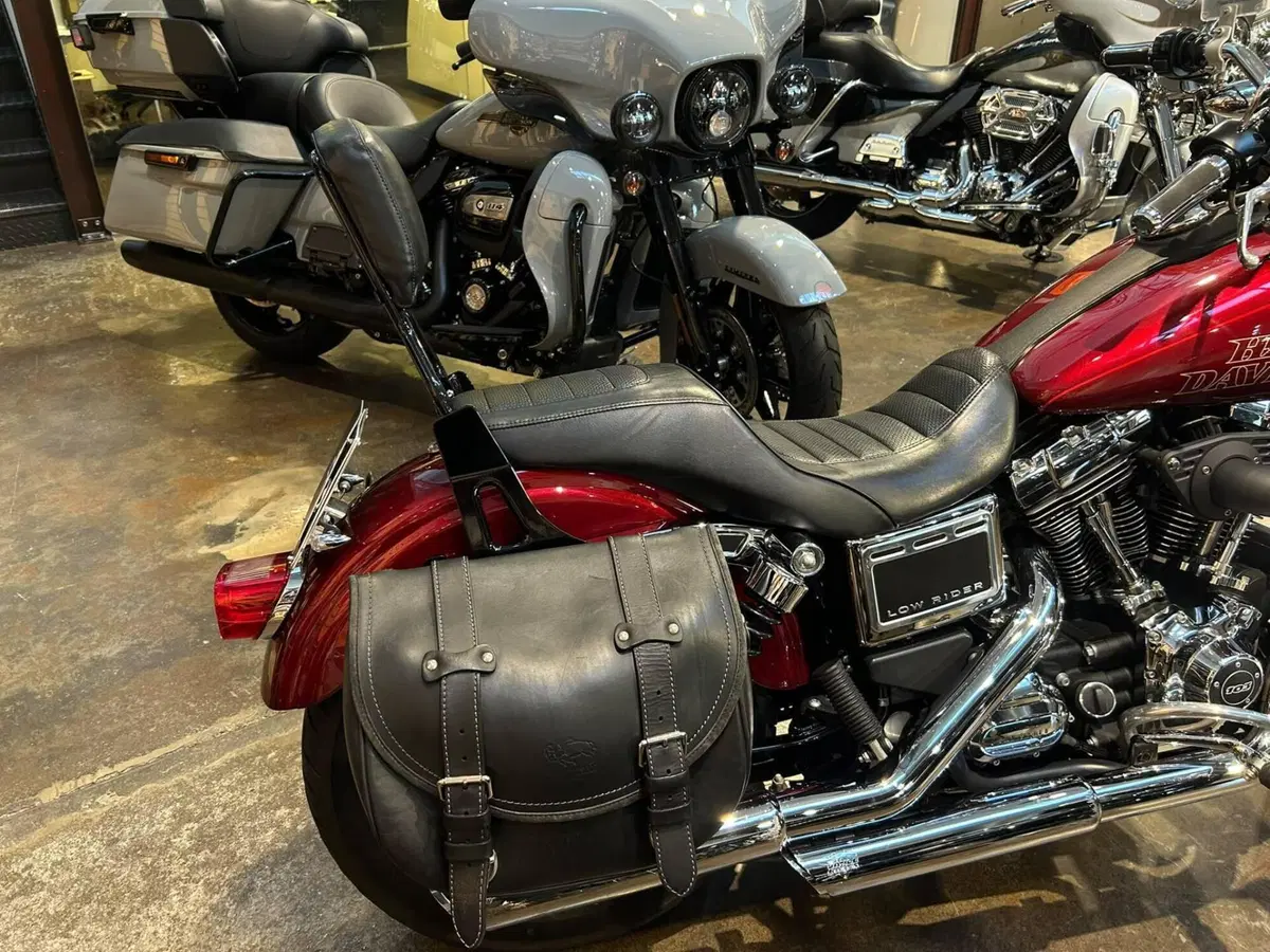 Harley-Davidson 1690 Low Rider (2014 - 17) - FXDL (10)