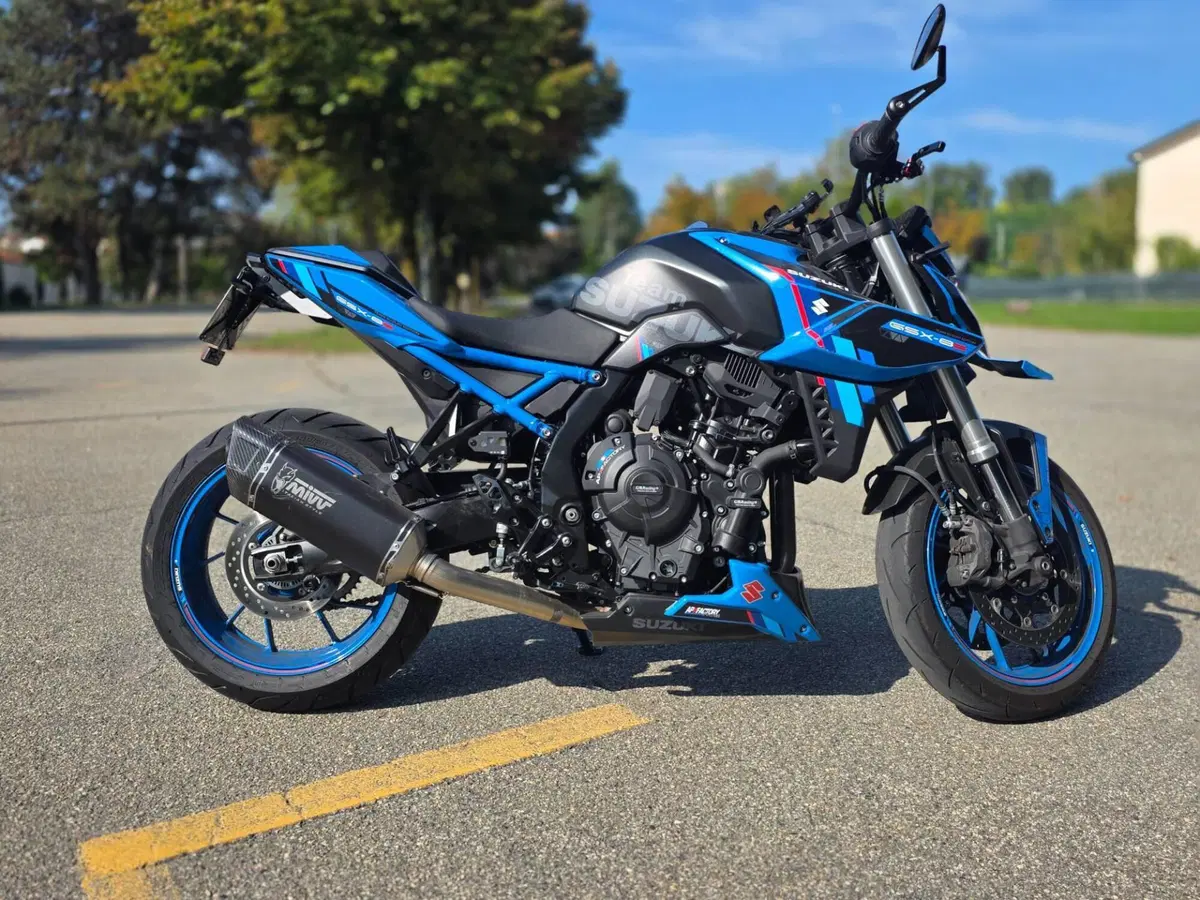 Suzuki GSX-8S Team Suzuki Edition (2024) (8)