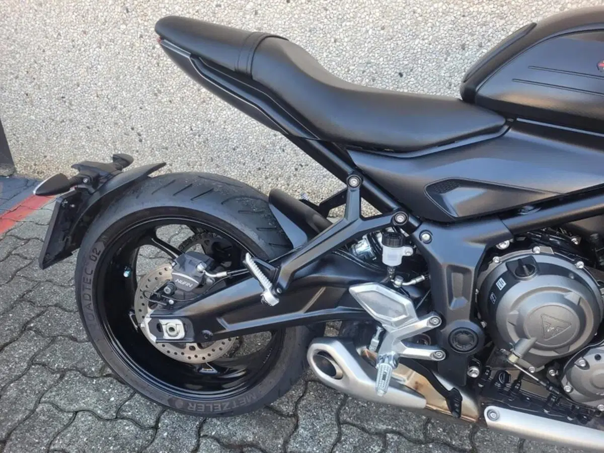 Triumph Trident 660 (2021 - 24) (6)