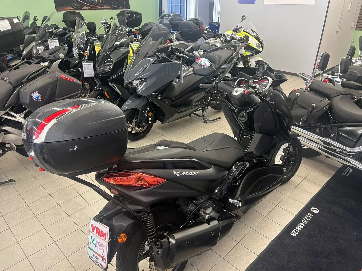 Yamaha X-Max 300 ABS (2017 - 20) (7)