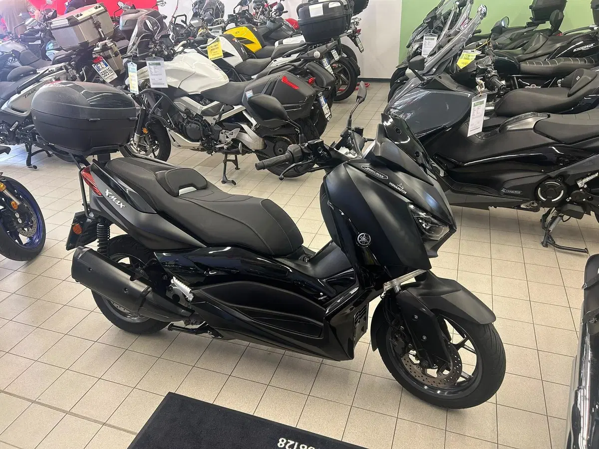Yamaha X-Max 300 ABS (2017 - 20) (10)