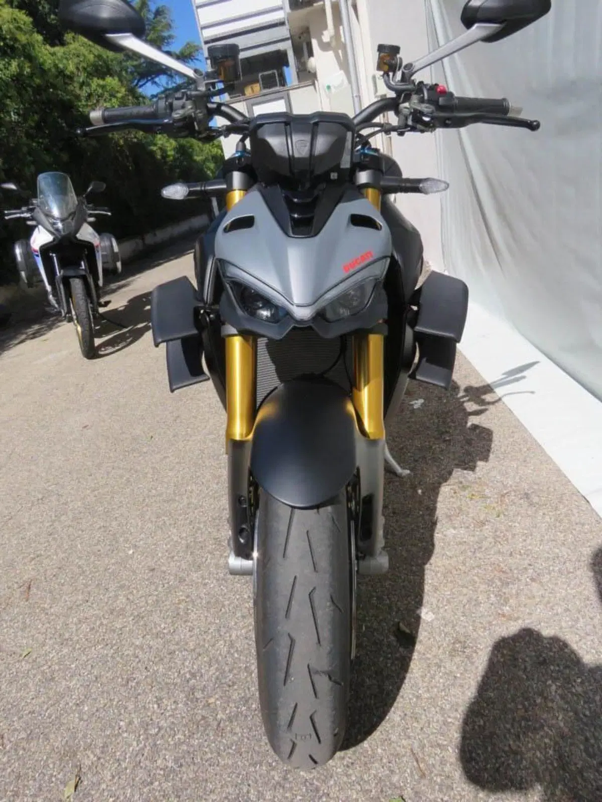 Ducati Streetfighter V4 (2023 - 24) (7)