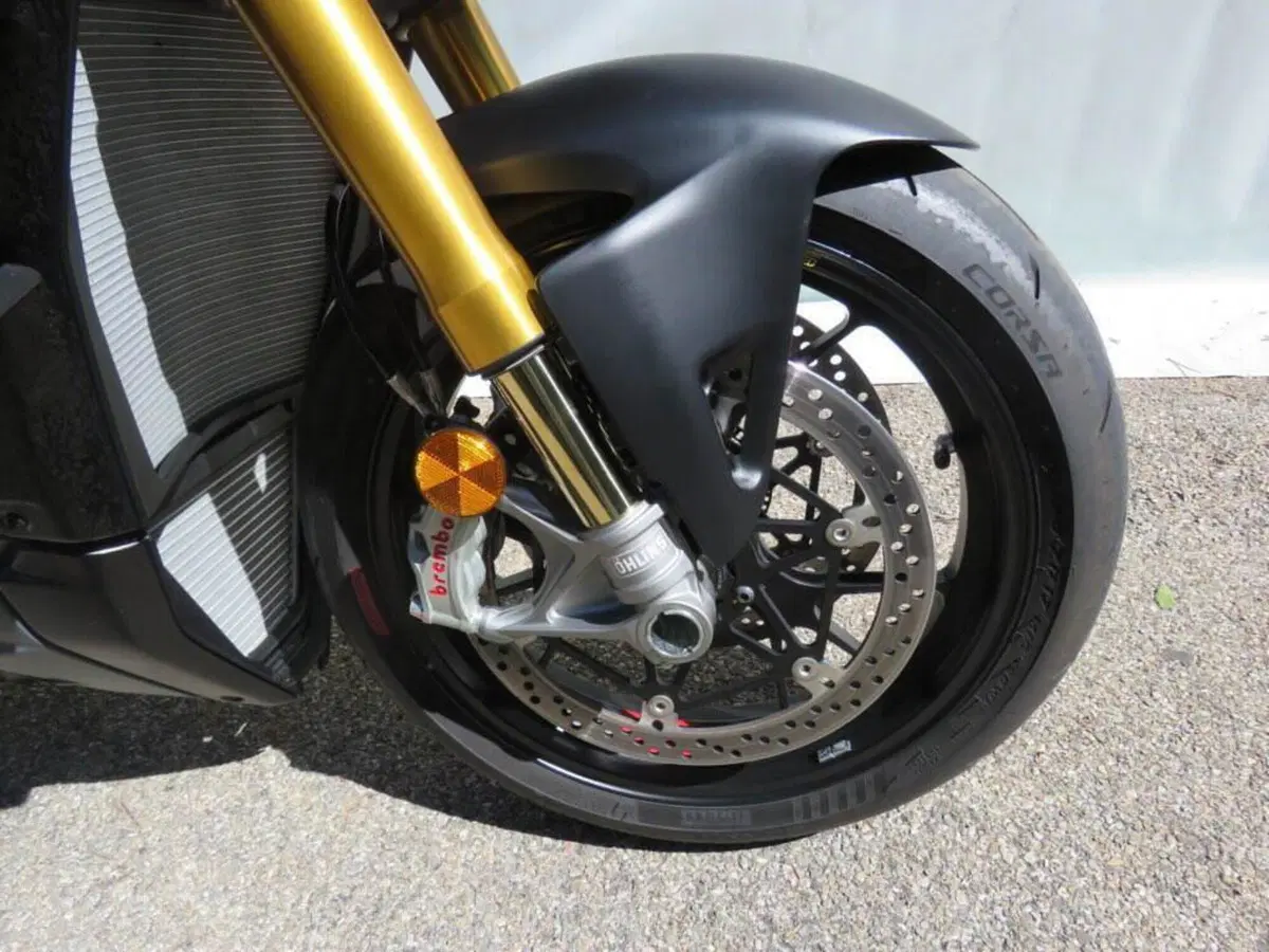 Ducati Streetfighter V4 (2023 - 24) (8)