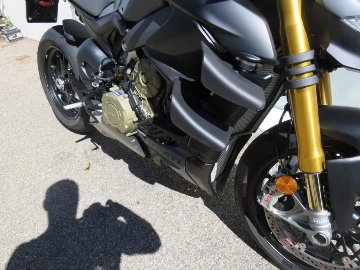 Ducati Streetfighter V4 (2023 - 24) (9)