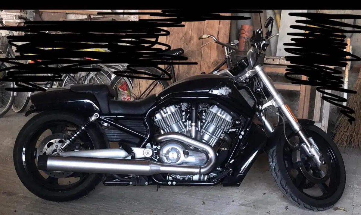 Harley-Davidson 1250 V-Rod Muscle (2009 - 17) - VRSCF (4)