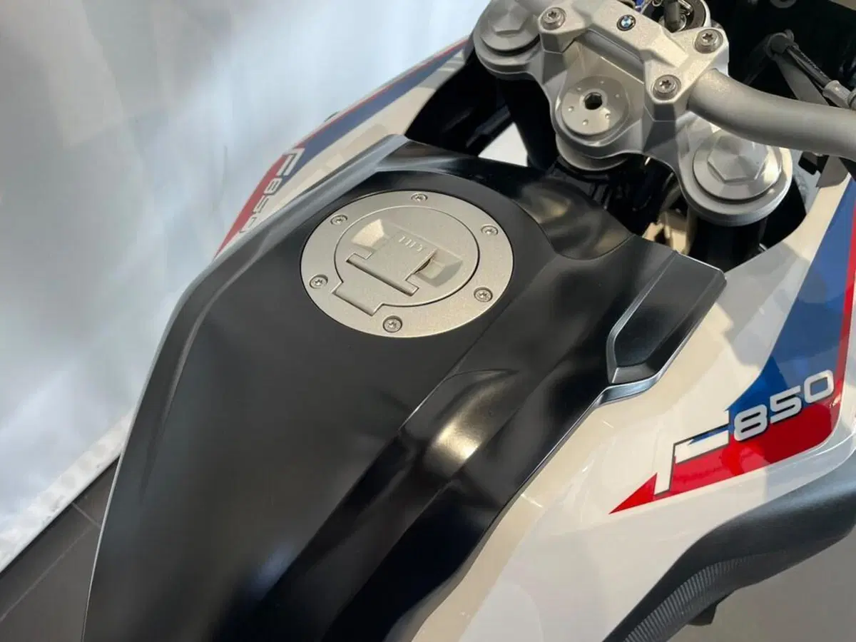 Bmw F 850 GS (2018 - 20) (11)
