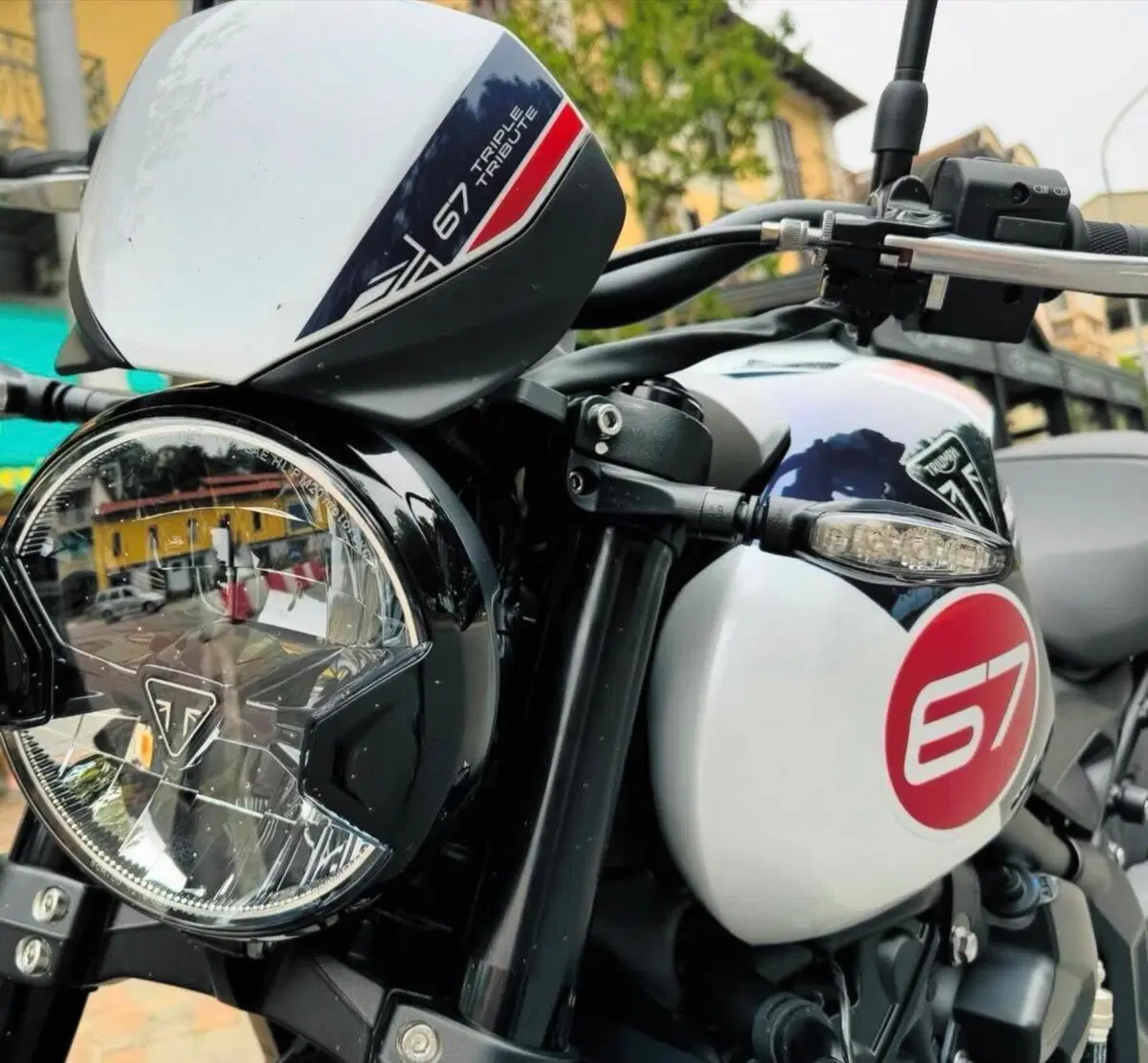Triumph Trident 660 Triple Tribute Edition (2024)