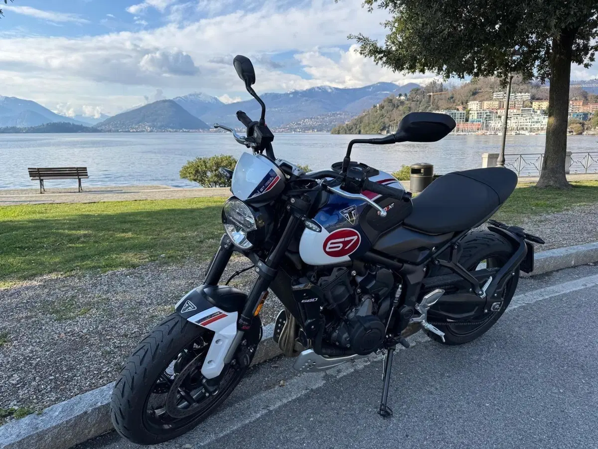 Triumph Trident 660 Triple Tribute Edition (2024) (2)