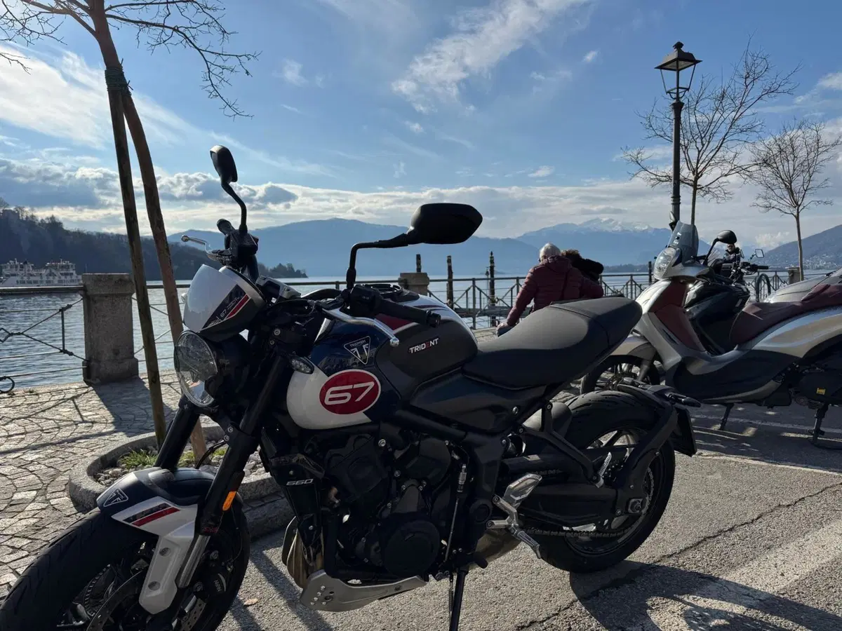 Triumph Trident 660 Triple Tribute Edition (2024) (3)