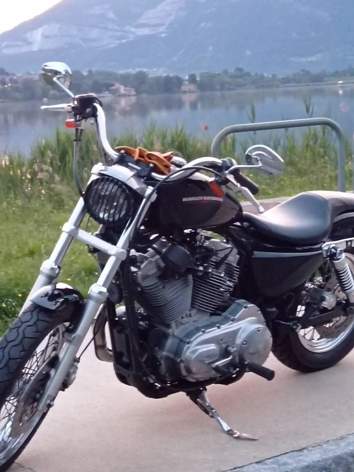 Harley-Davidson 883 Low (2005) - XL 883L