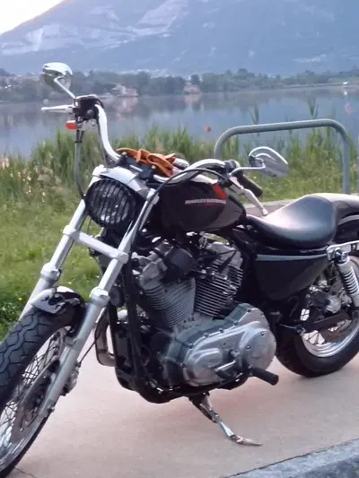Harley-Davidson 883 Low (2005) - XL 883L usata