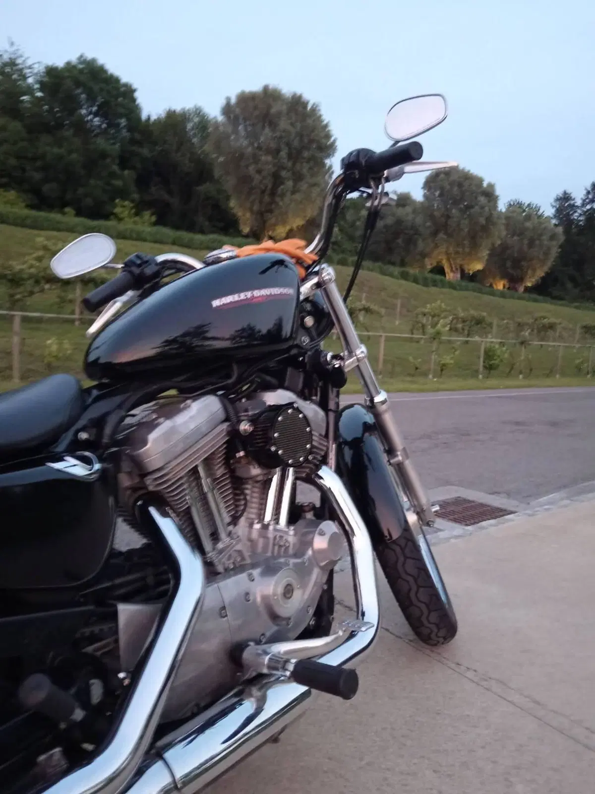 Harley-Davidson 883 Low (2005) - XL 883L (2)