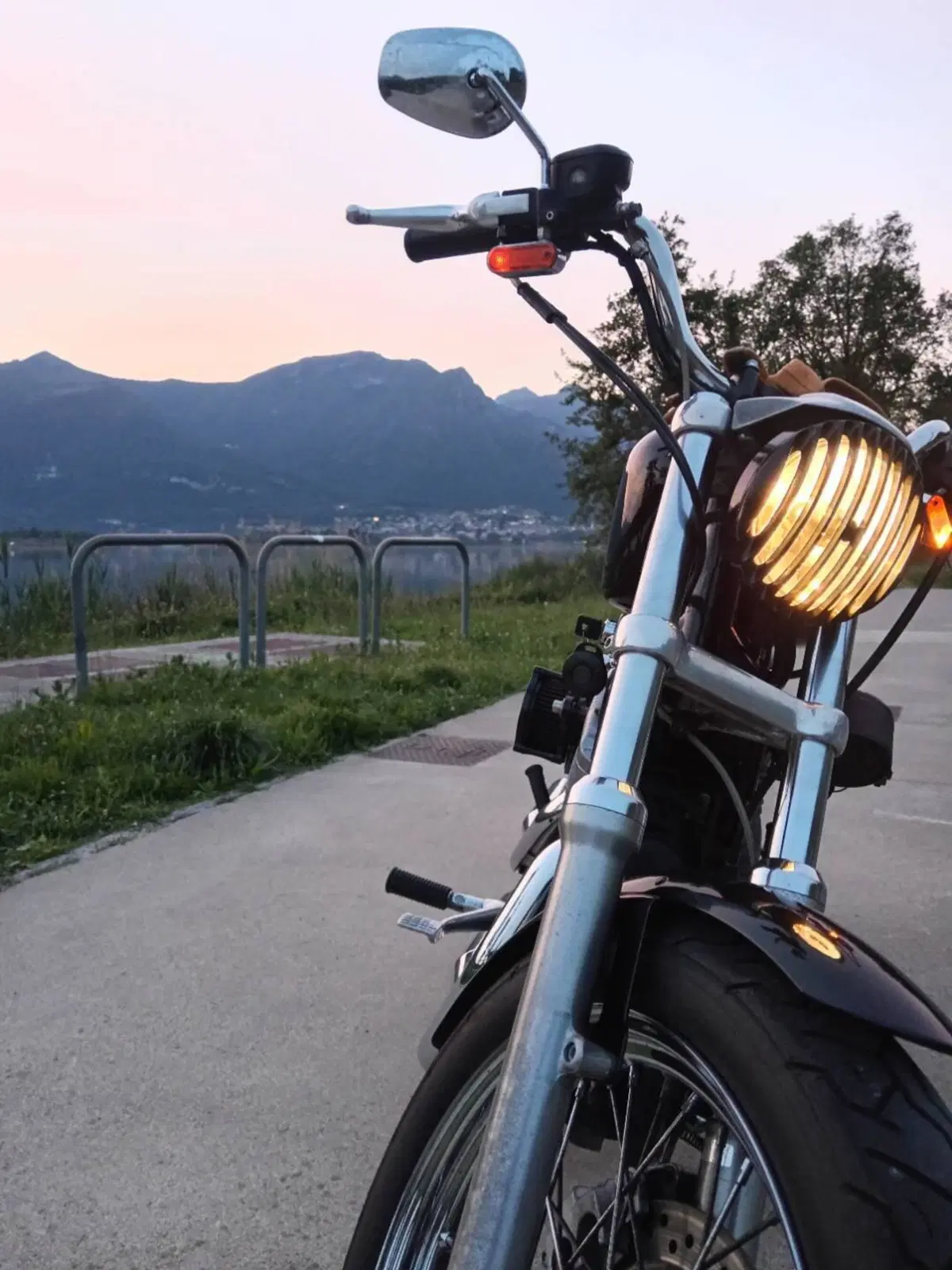 Harley-Davidson 883 Low (2005) - XL 883L (3)