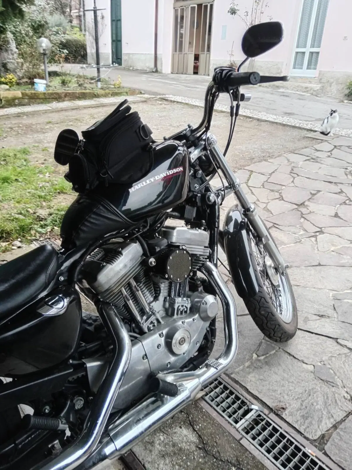 Harley-Davidson 883 Low (2005) - XL 883L (4)