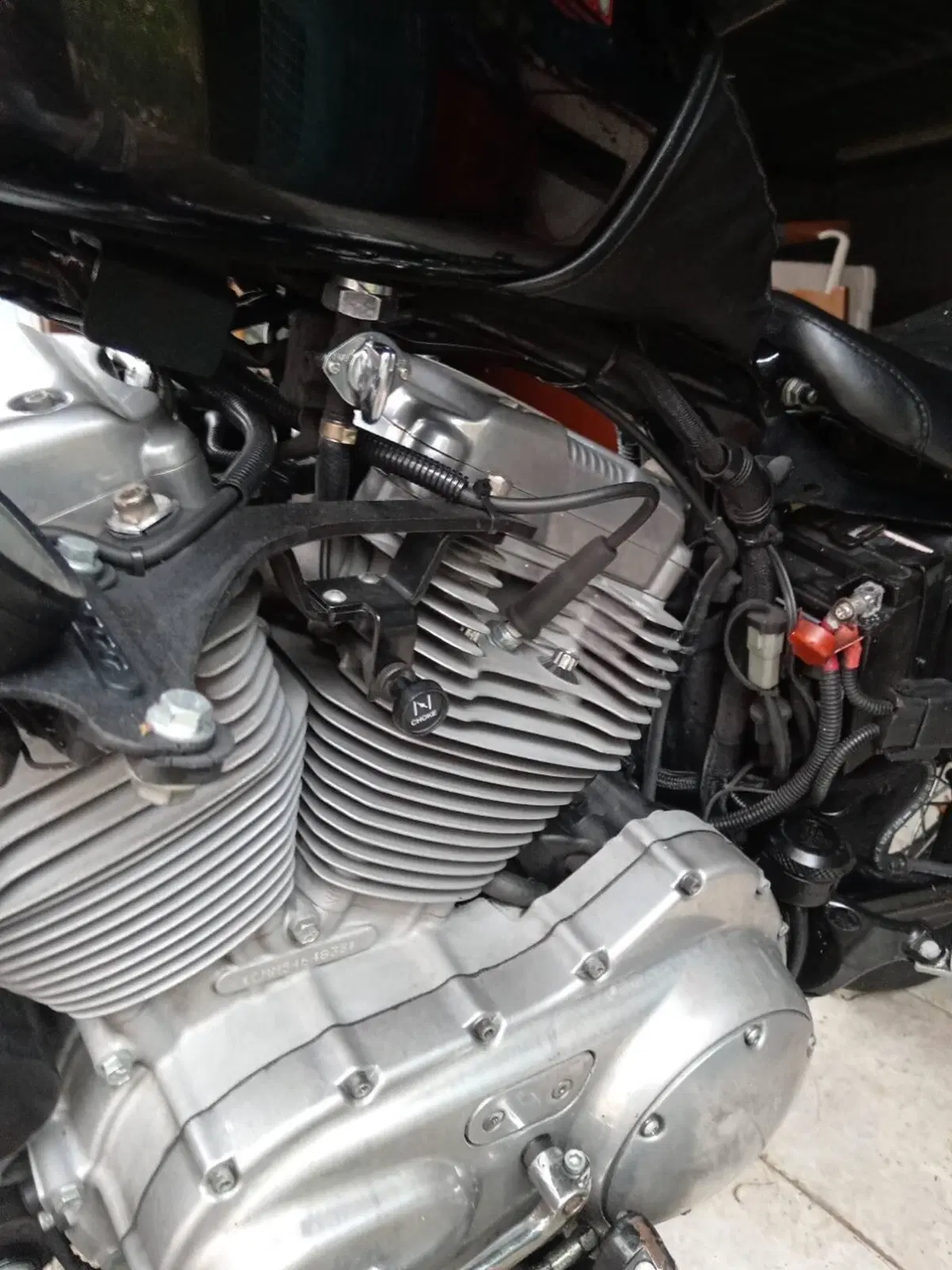 Harley-Davidson 883 Low (2005) - XL 883L (5)