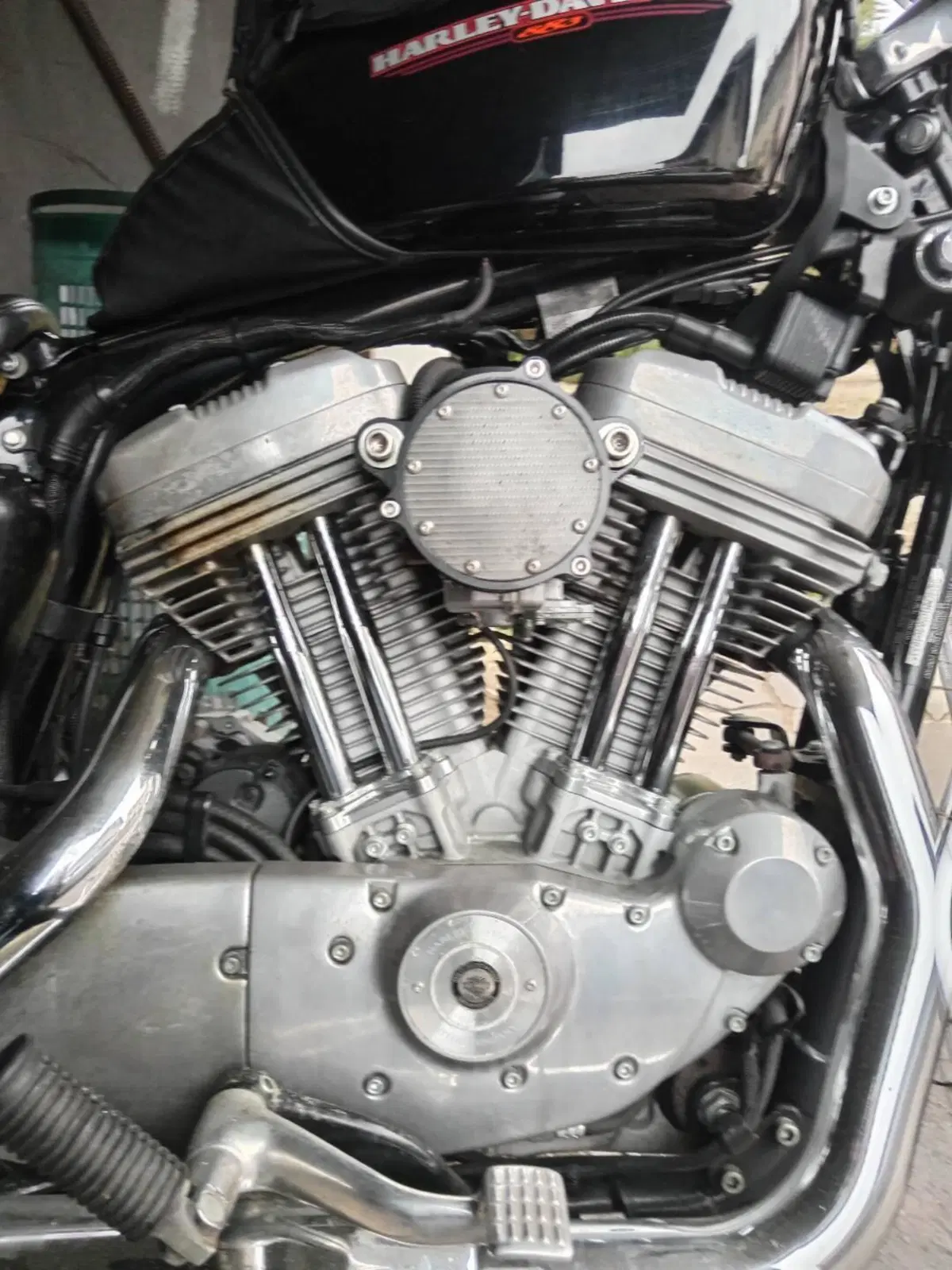 Harley-Davidson 883 Low (2005) - XL 883L (6)