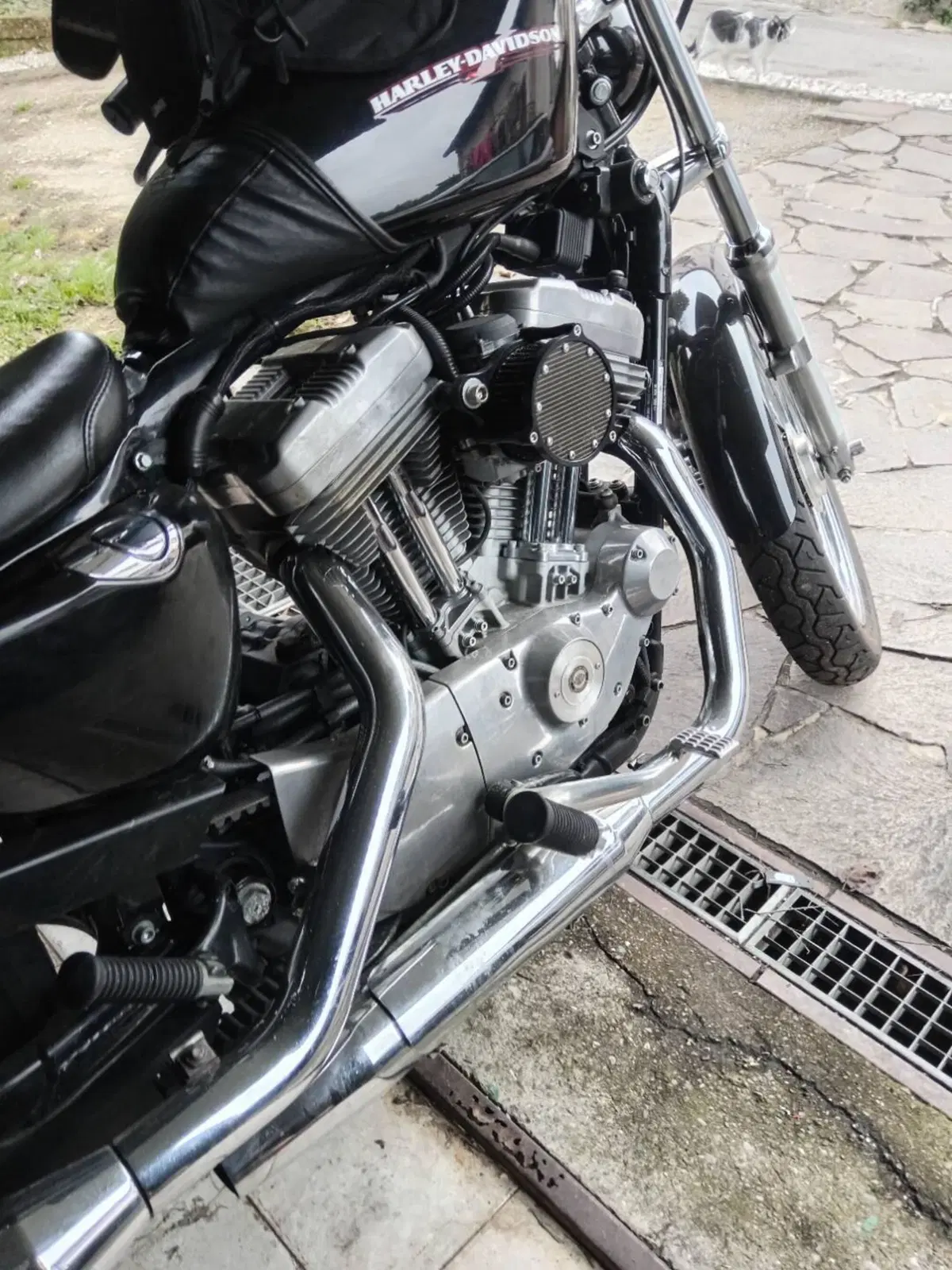 Harley-Davidson 883 Low (2005) - XL 883L (7)