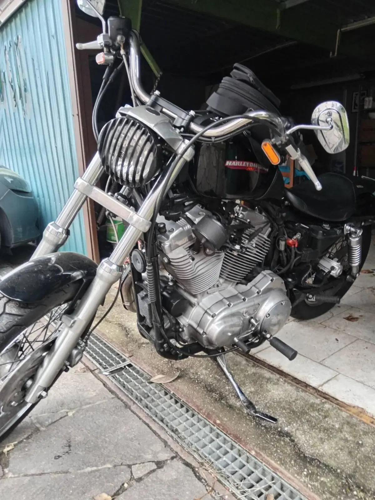 Harley-Davidson 883 Low (2005) - XL 883L (9)