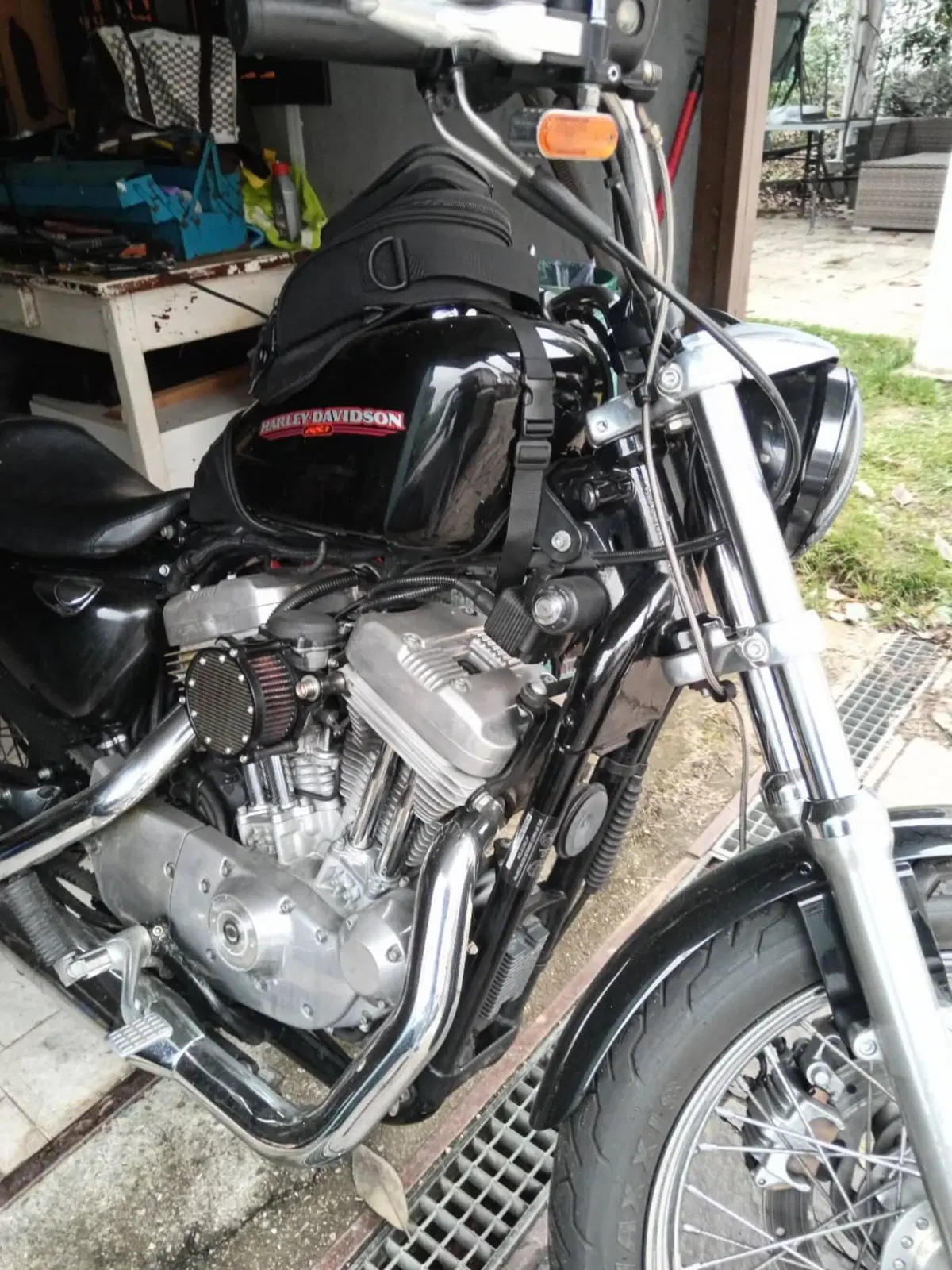 Harley-Davidson 883 Low (2005) - XL 883L (10)