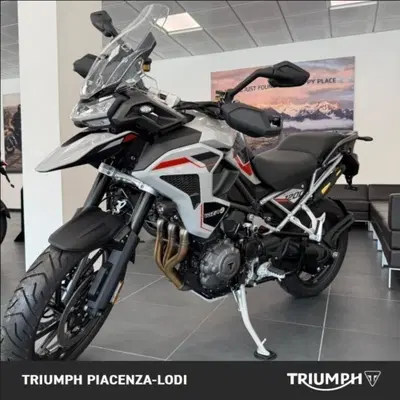 Triumph Tiger 1200 Alpine Special Edition (2026) usata