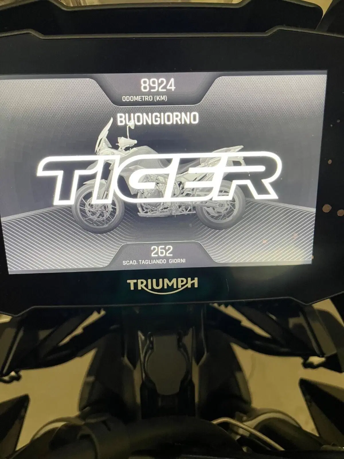 Triumph Tiger 900 GT Pro (2020 - 23) (7)