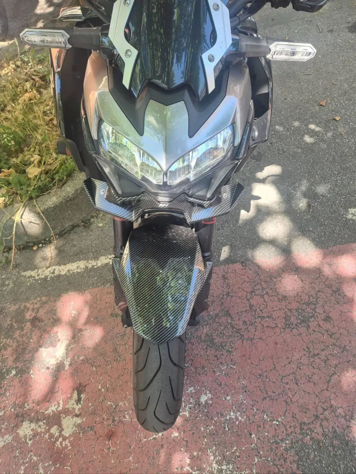 Kawasaki Z 900 (2021 - 24) (9)