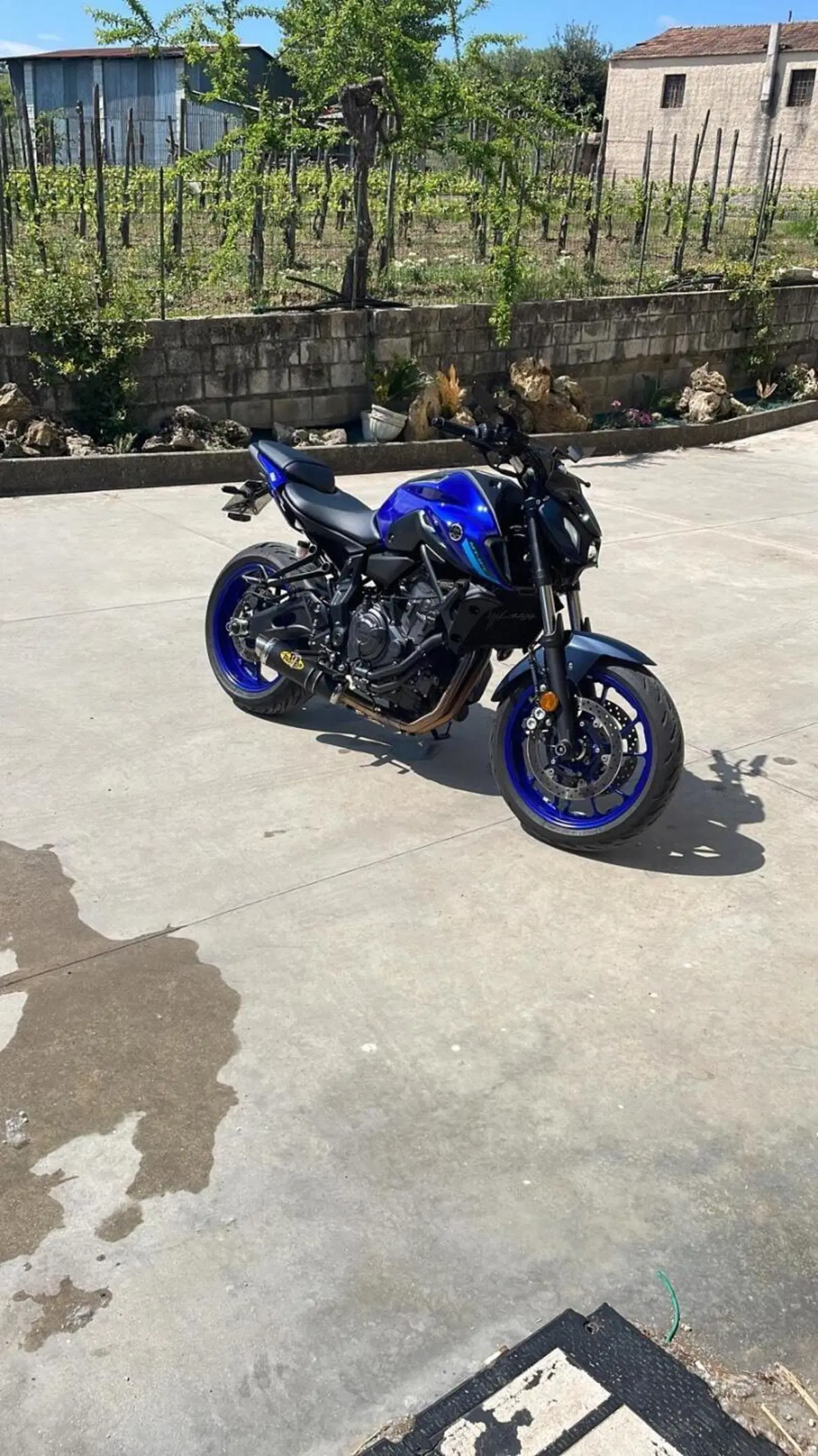 Yamaha MT-07 Pure (2023 - 25) (4)